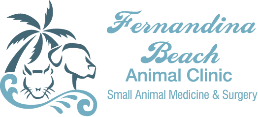 0516_FernandinaBeachAnimalClinicRectangle-Color2x (2)